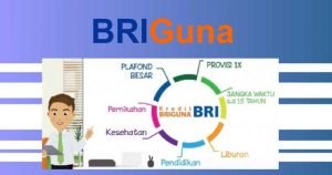 pinjaman kta briguna
