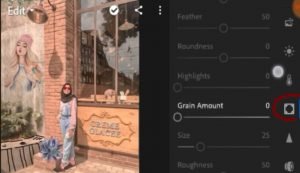 Mengedit Foto di Lightroom yang Bagus Ala Selebgram