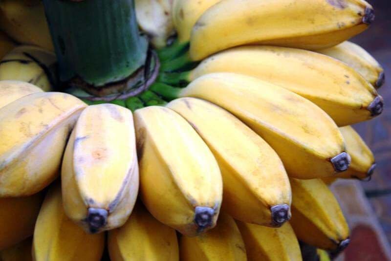 Pisang Kepok