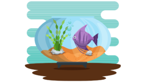 ikan hias