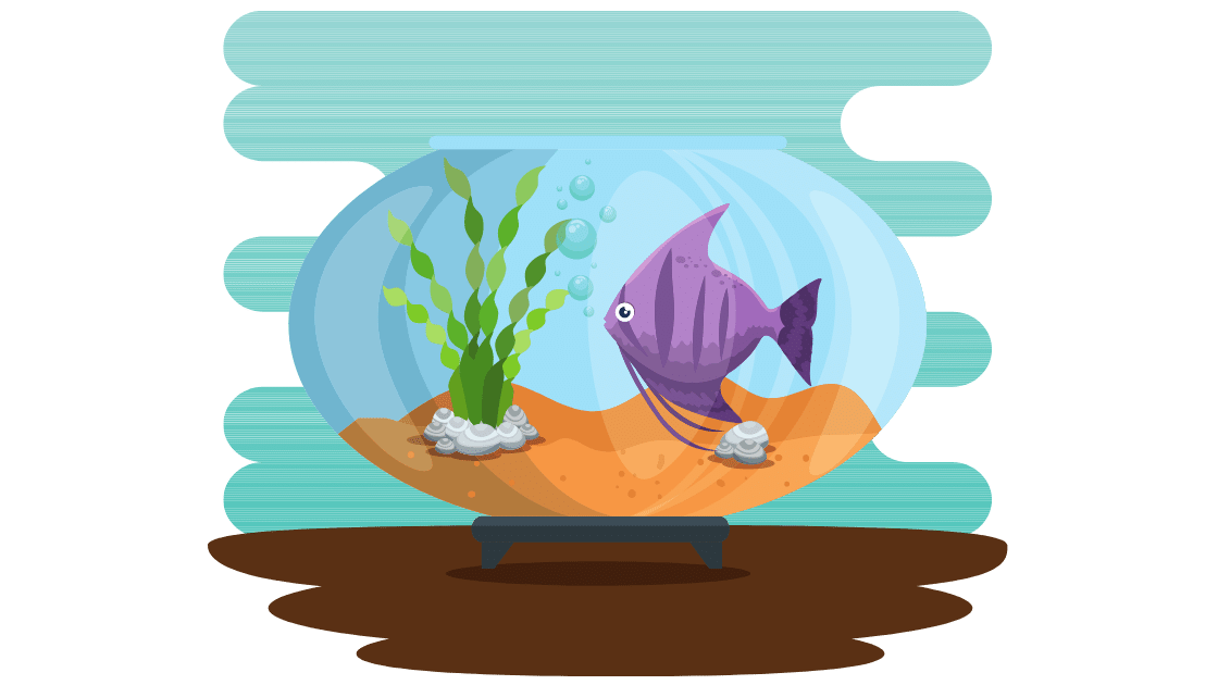 ikan hias